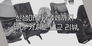 뉴나 조이 멕시코시 브라이텍스 비세이프 유아 카시트 리뷰 이미지